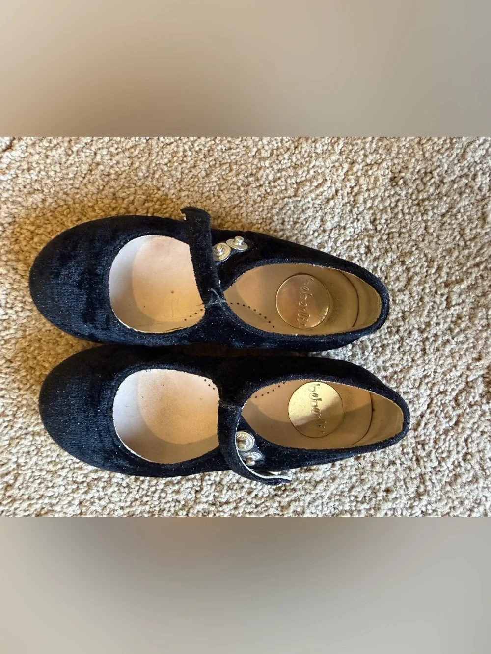 Black Velvet Mary Jane Flats with Button Detail